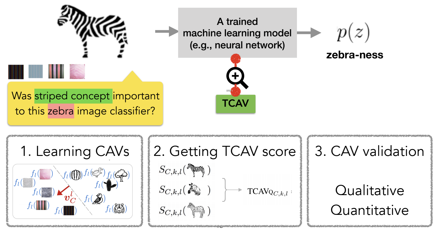 Testing with concept activation vectors