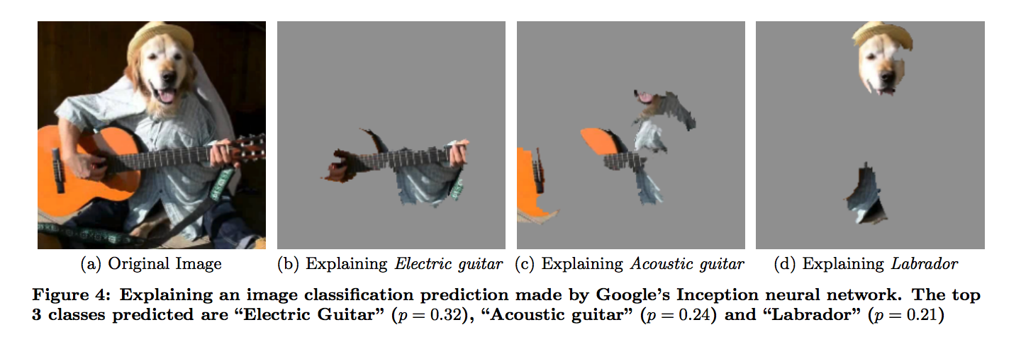 This figure illustrates a local explanation of Google’s Inception neural network on some arbitrary image.