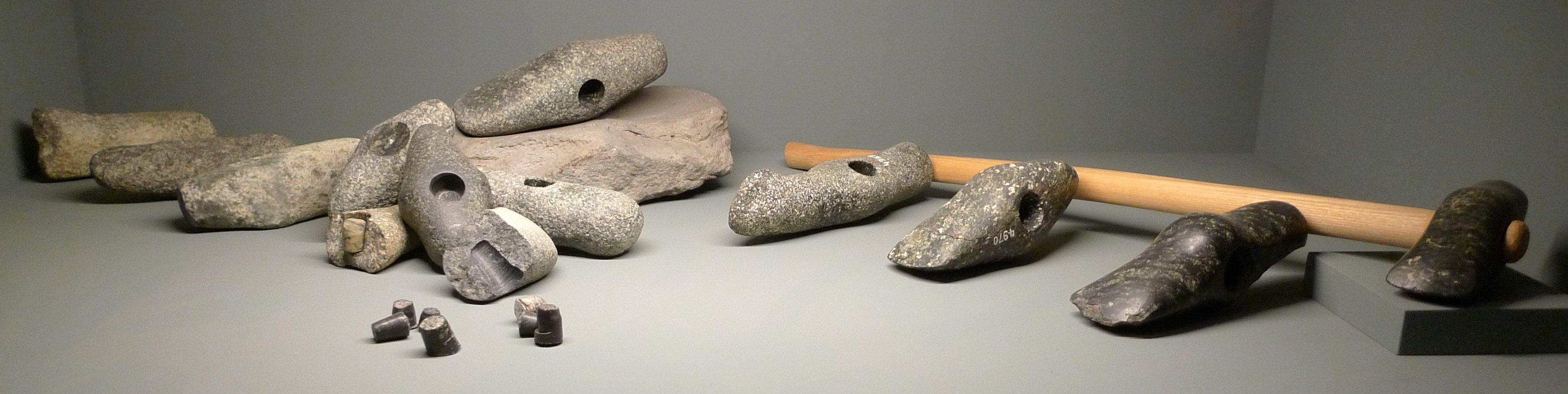 A stone axe in various stages of manufacture, from left to right, from the Neolithic settlement of Vinelz on Lake Biel, Switzerland, c. 2700 BC. Wikipedia CC.