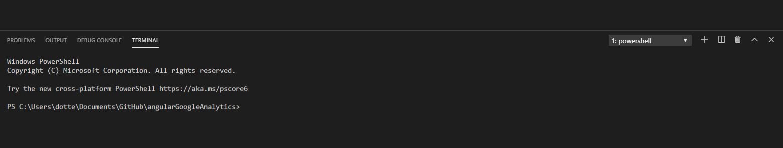 Example of what the terminal looks like.