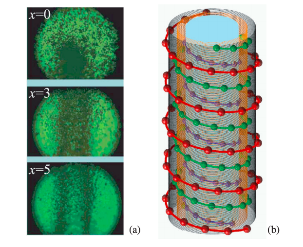 The universe is replete with plasma, even if it’s not a common find on Earth. In plasma gas temperatures have gotten high enough to split atoms into ions and electrons. The universe was exclusively plasma until the era of recombination where hydrogen atoms were formed, almost 400,000 years after the Big Bang. The above simulations show helical structures formed by plasma in a chamber. Images from the New Journal of Physics.