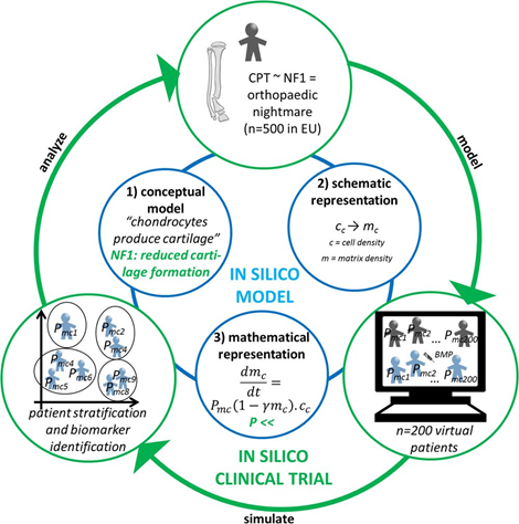 In Silico clinical trials for pediatric orphan diseases
