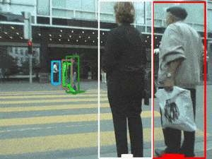 Object Tracking GIF from cv-tricks.com